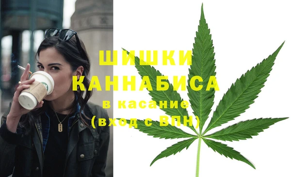 кокс Богородицк
