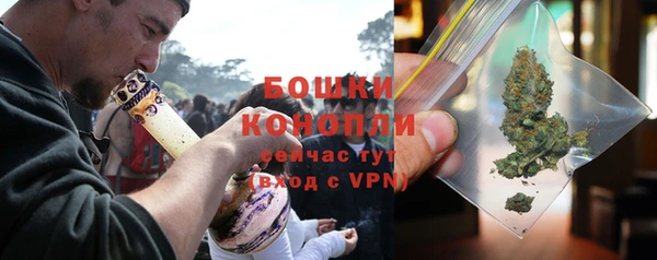 гидра Богданович