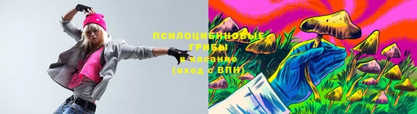 кокс Богородицк