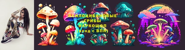 кокс Богородицк
