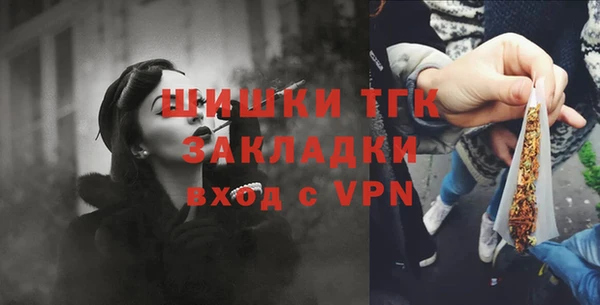 гидра Богданович