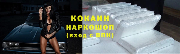 гидра Богданович