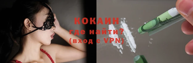 гидра Богданович
