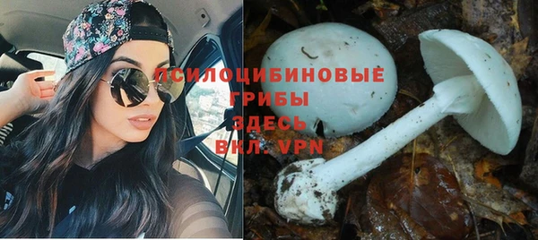 дурь Белокуриха