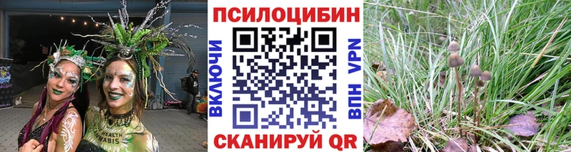 цена   Урюпинск  Галлюциногенные грибы Psilocybe 